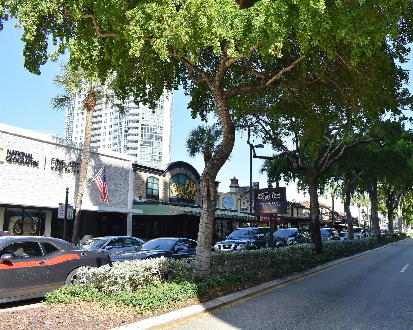 Shops, restaurants and galleries under the trees on Las Olas Boulevard in downtown Fort Lauderdale.