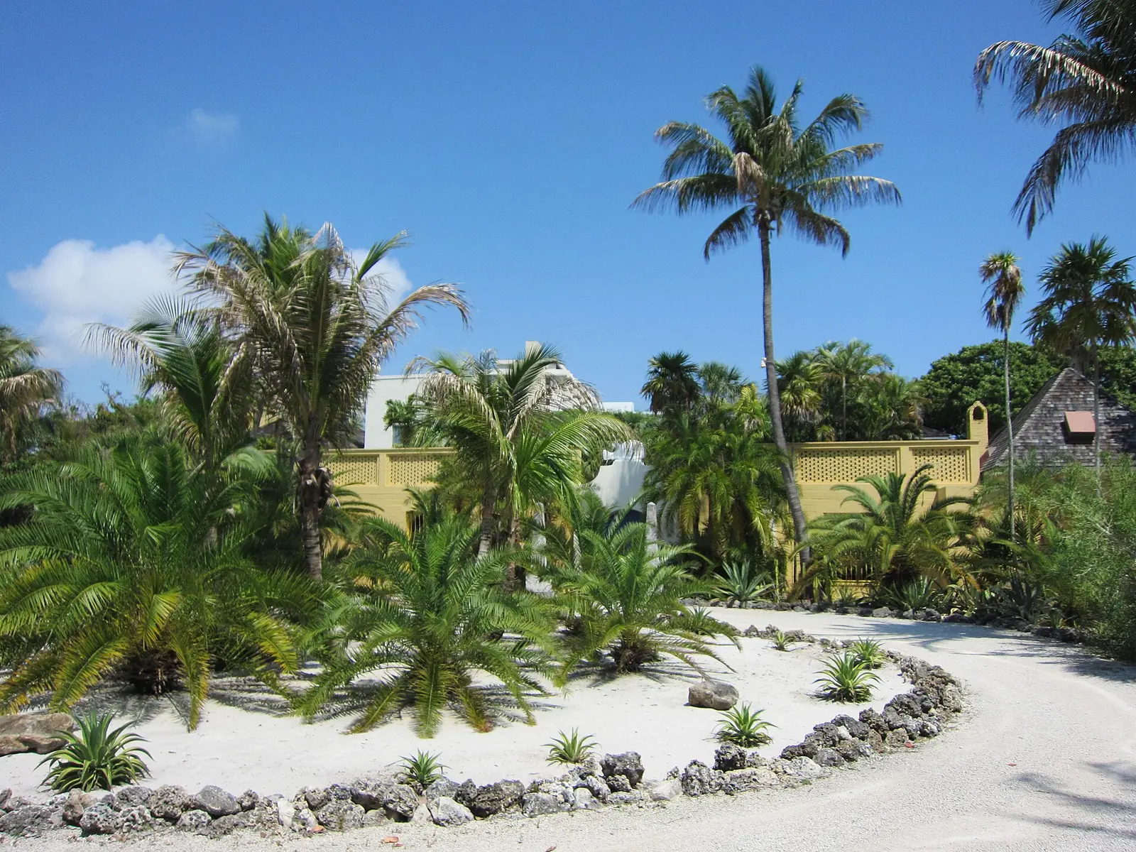 Palms around the drive at Bonnet House Museum and Gardens, Fort Lauderdale.
